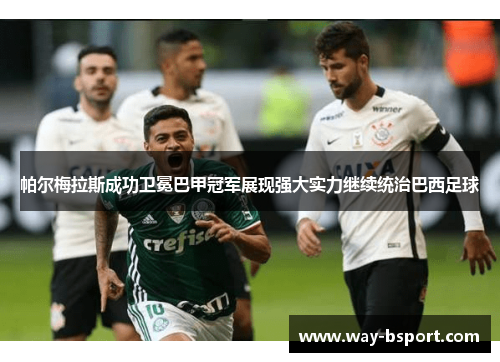 帕尔梅拉斯成功卫冕巴甲冠军展现强大实力继续统治巴西足球