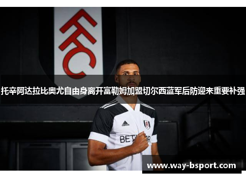 托辛阿达拉比奥尤自由身离开富勒姆加盟切尔西蓝军后防迎来重要补强 托辛阿达拉比奥尤自由身离开富勒姆加盟切尔西蓝军后防迎来重要补强