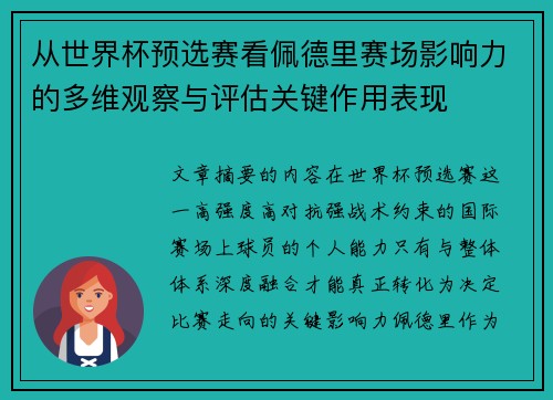 从世界杯预选赛看佩德里赛场影响力的多维观察与评估关键作用表现