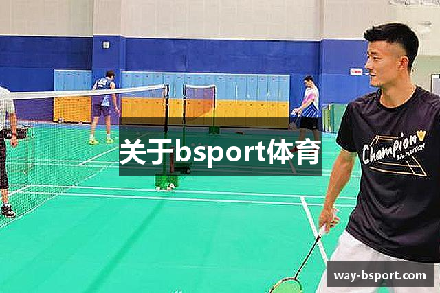 关于bsport体育